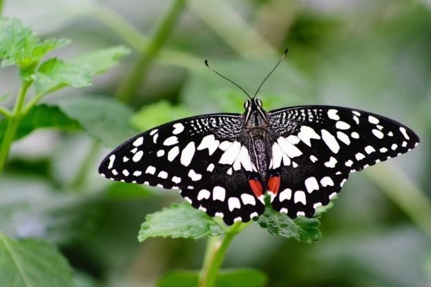 Macro Photography Course Near Me