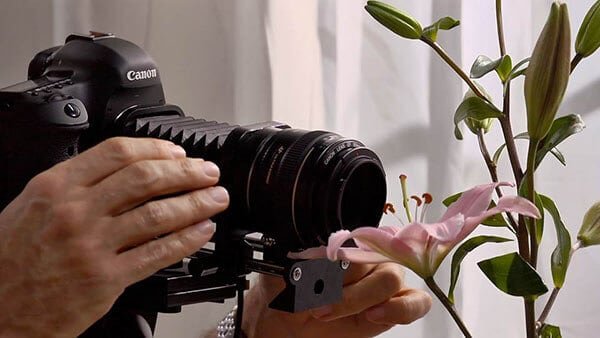 Photography Foundations - Macro and Close-Up course.