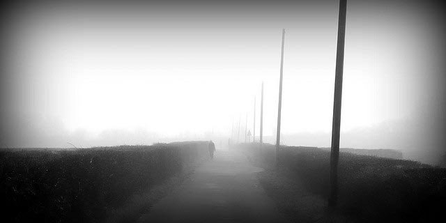 Into the Mist - leading lines rule example