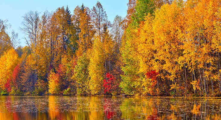 autumn photography - trees reflecting off water