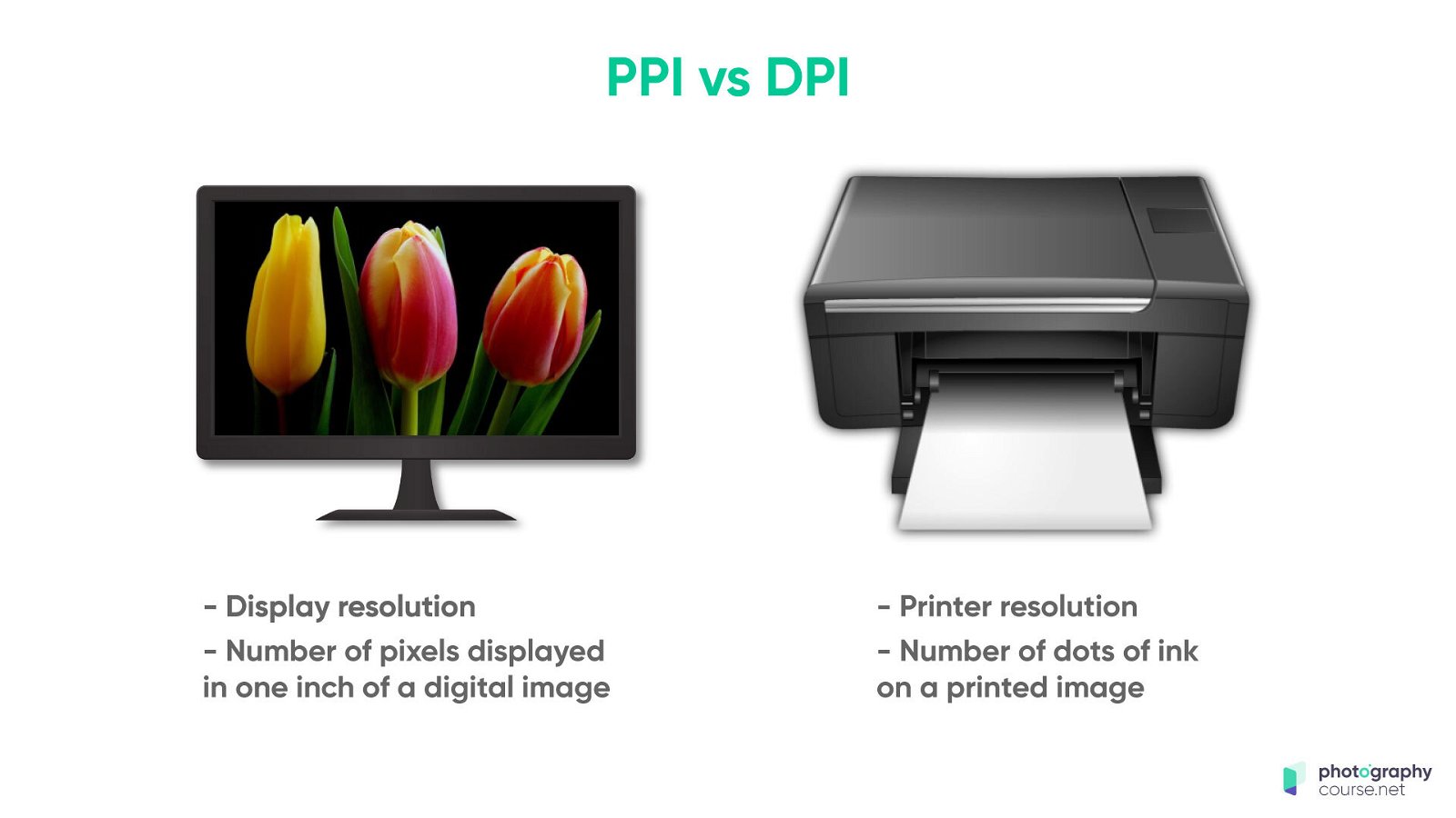 the difference between PPI and DPI in printing.