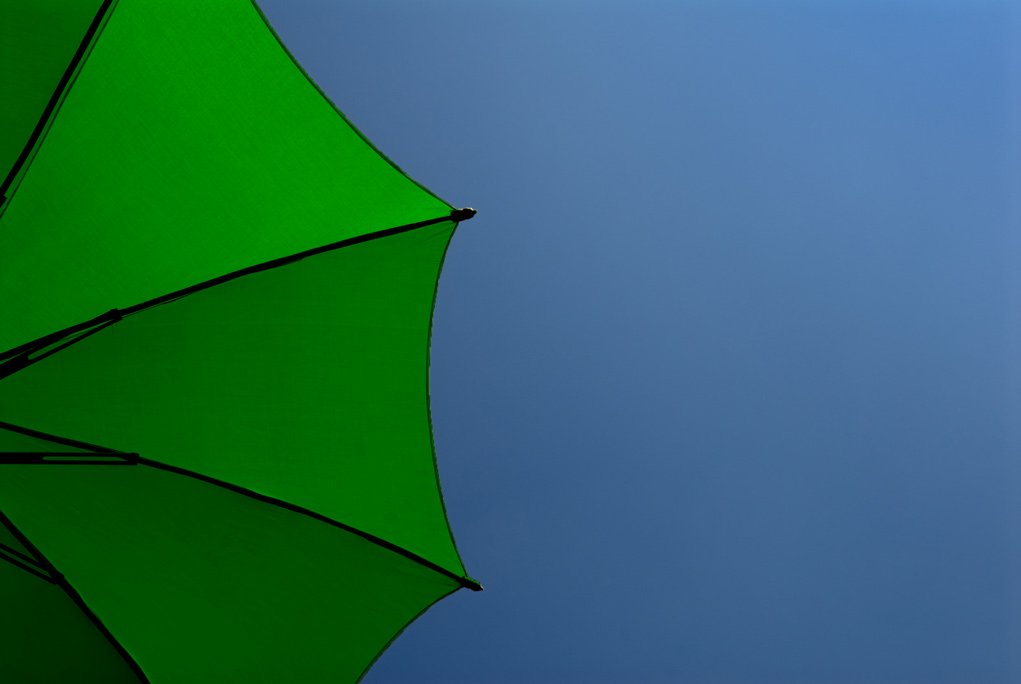 Green parasol against a blue sky for understanding color in photography series.