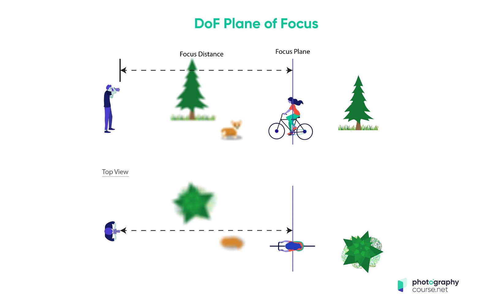 plane of focus.