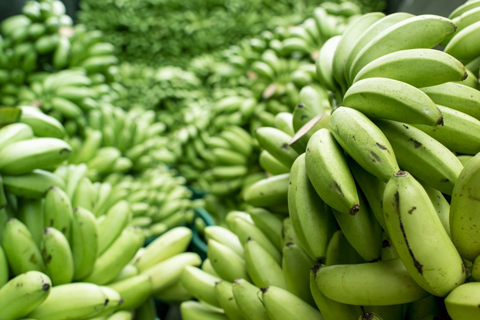 green bananas.