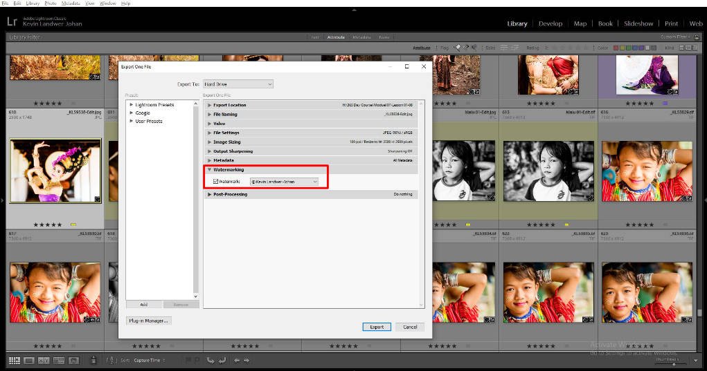 screen grab of export dialog box.