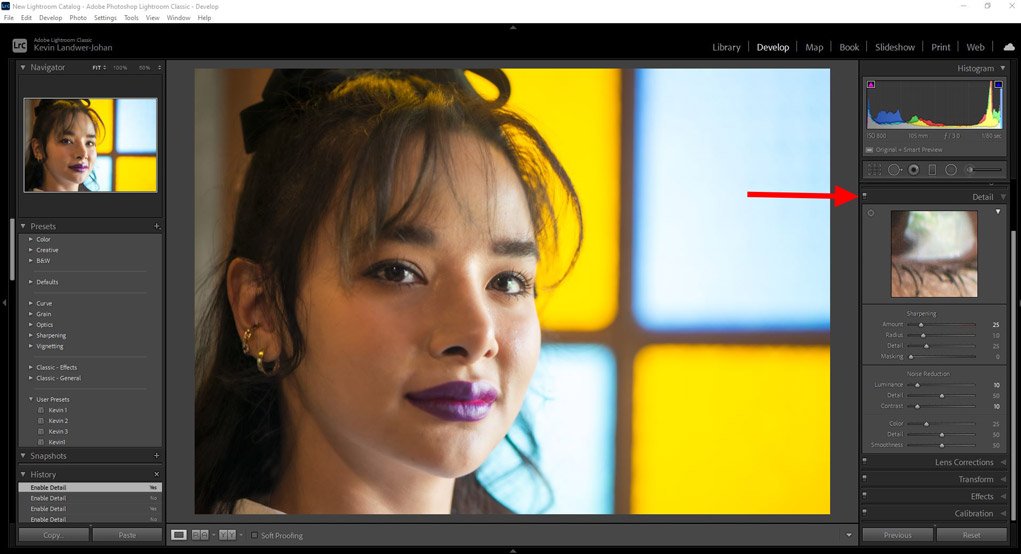 details panel in lightroom
