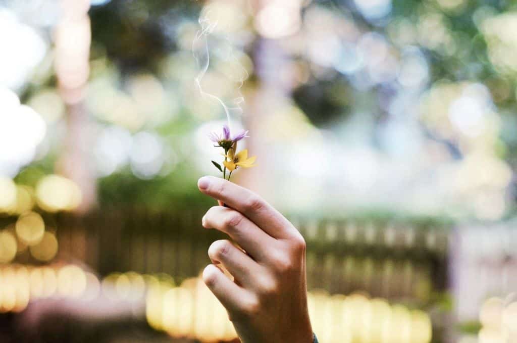 The bokeh effect is achieved using a fast lens set at a wide aperture which results in a blurred background as seen in this picture of a hand holding a flower.