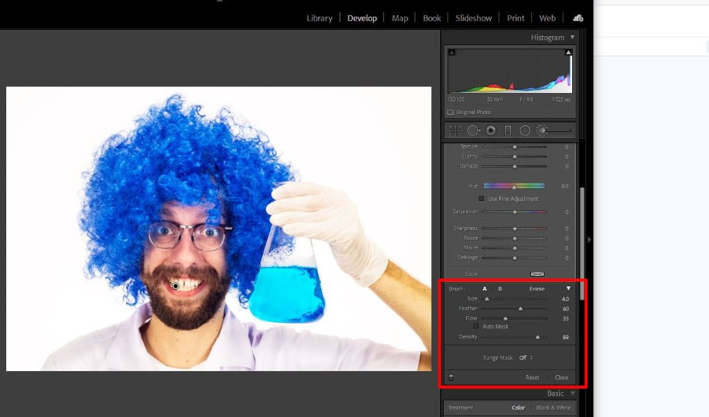 Brush size and control settings in Lightroom.