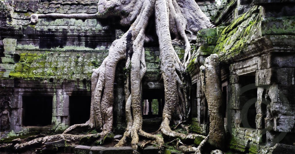 semi opaque watermark on Angkor temple photo