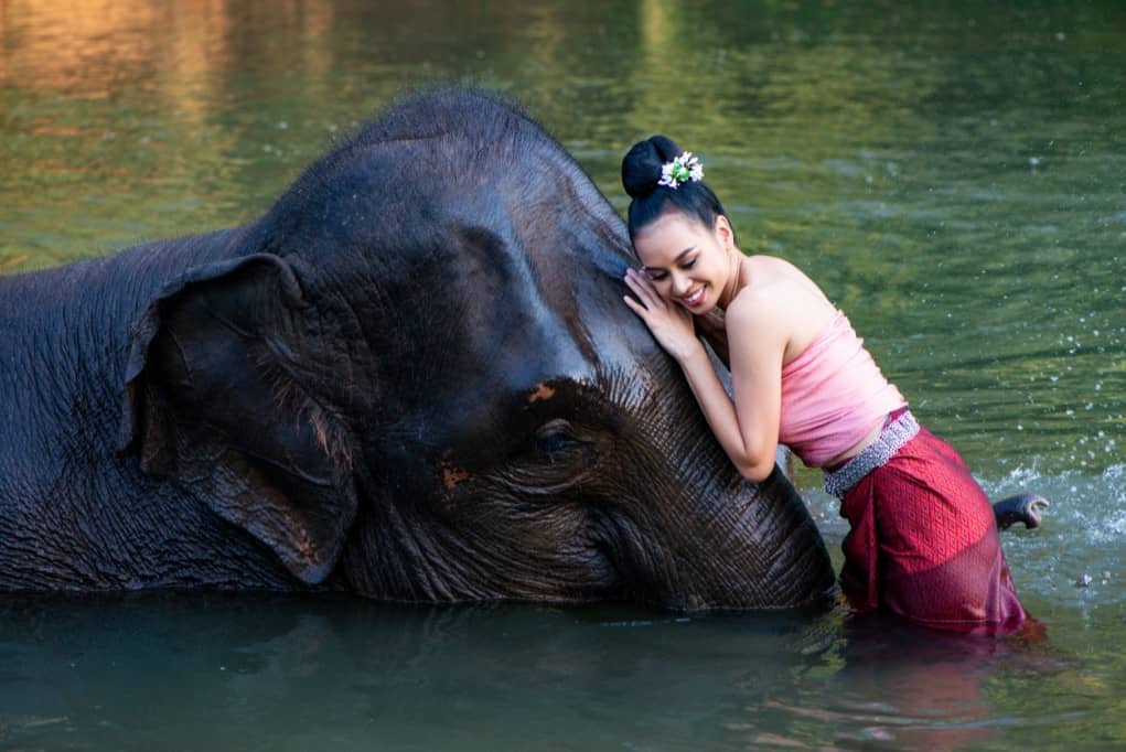 Thai model and elephant in the river.