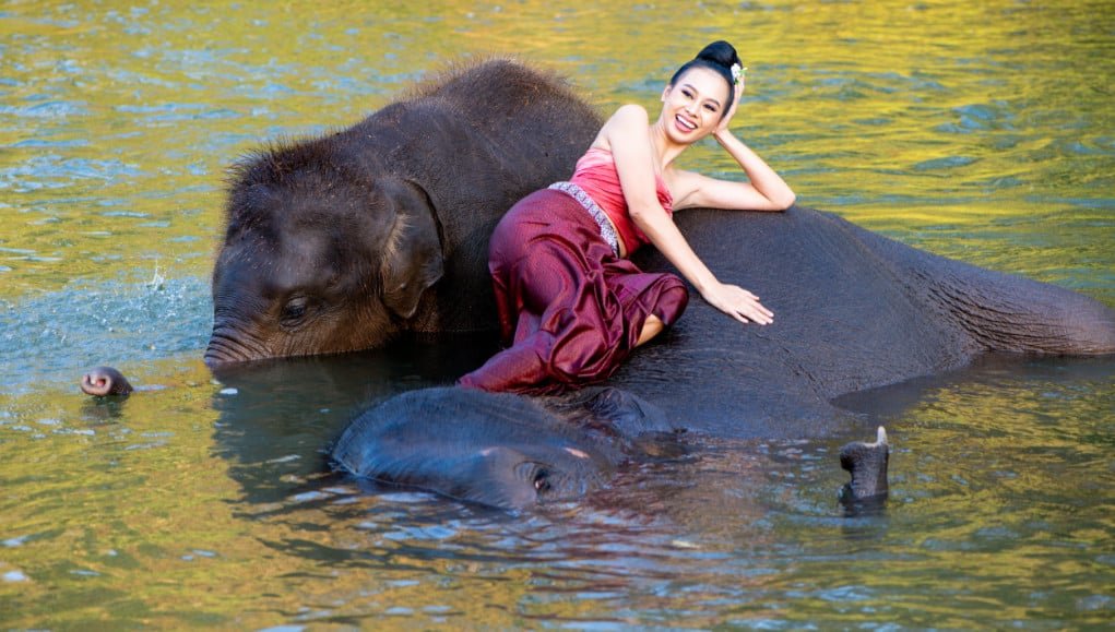 Elephants and Thai model in the river for shooting in manual mode.