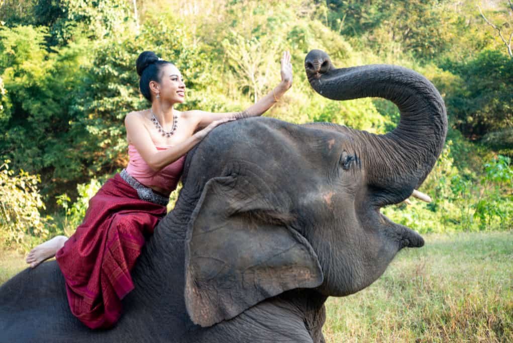 Thai model and elephant for shooting in manual mode.