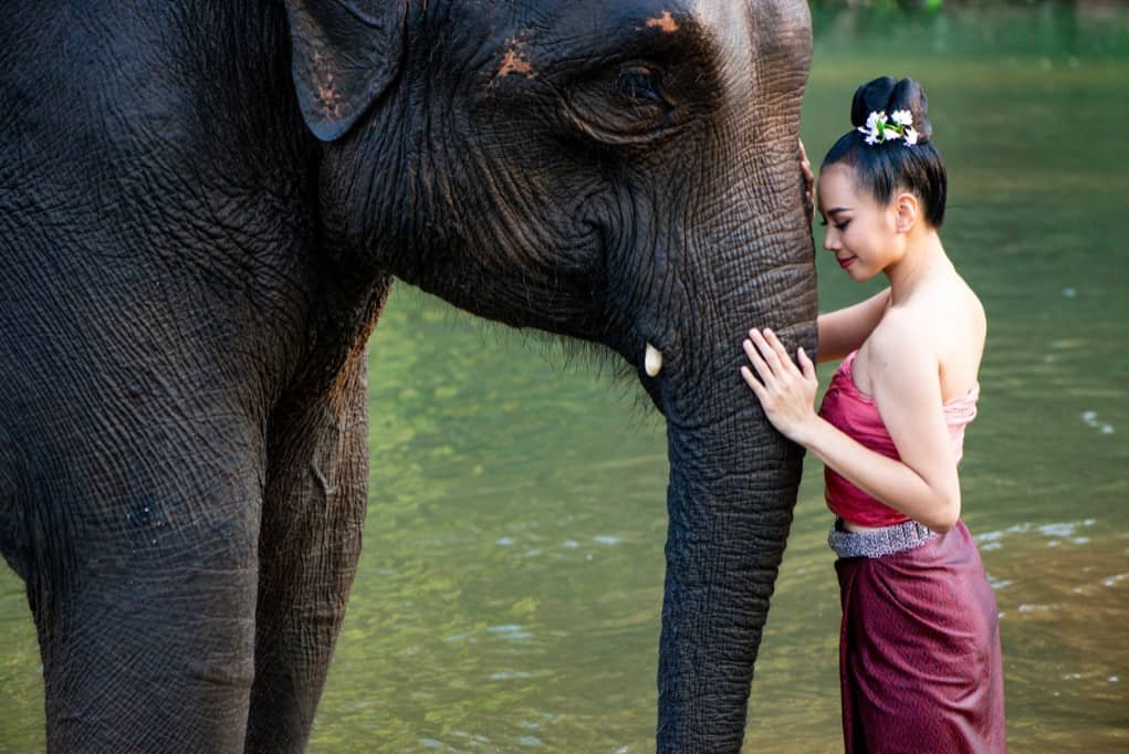 Thai model with an elephant.