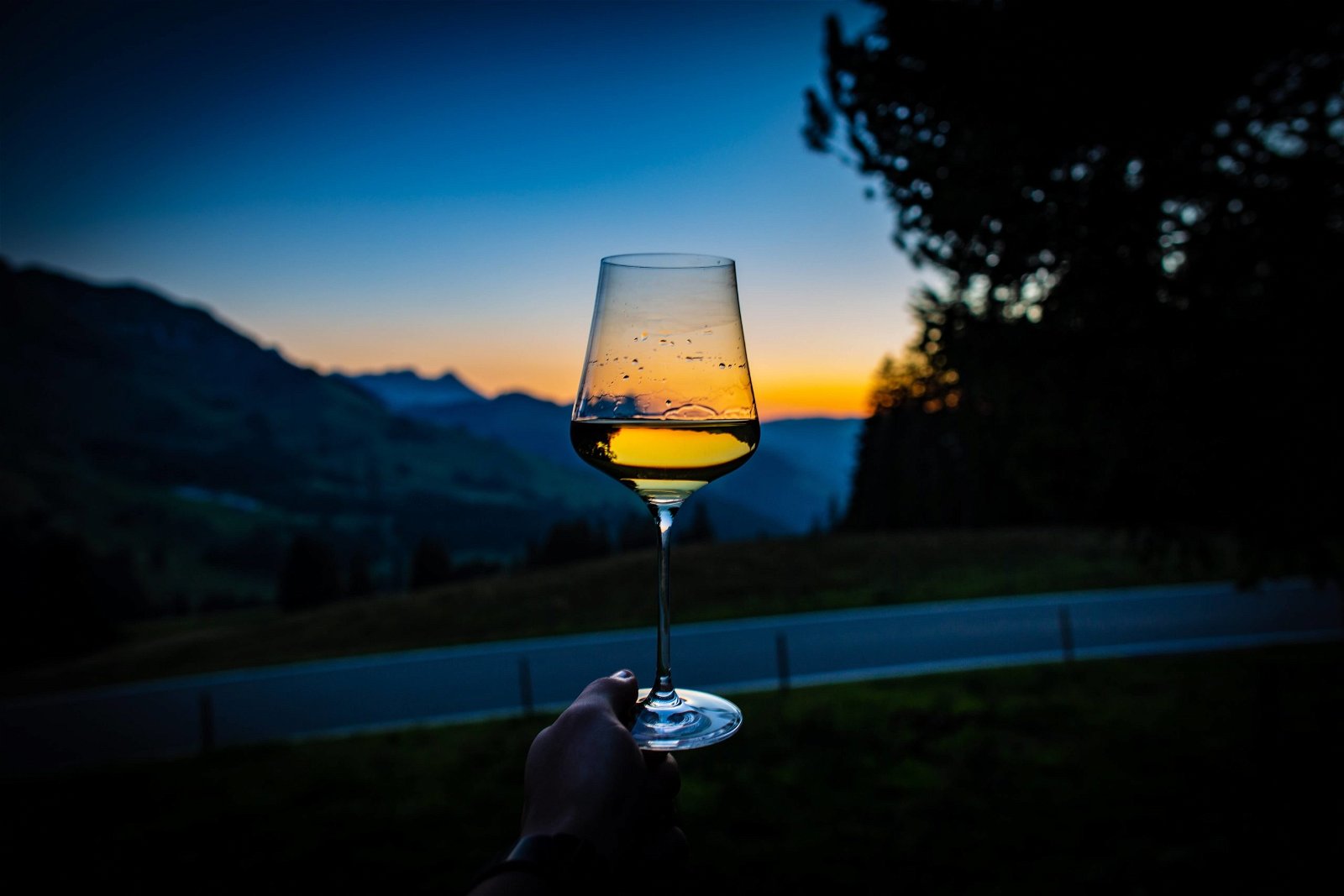 Backlighting really enhances the liquid property of foods such as soup and beverages as seen in this image of a glass of wine