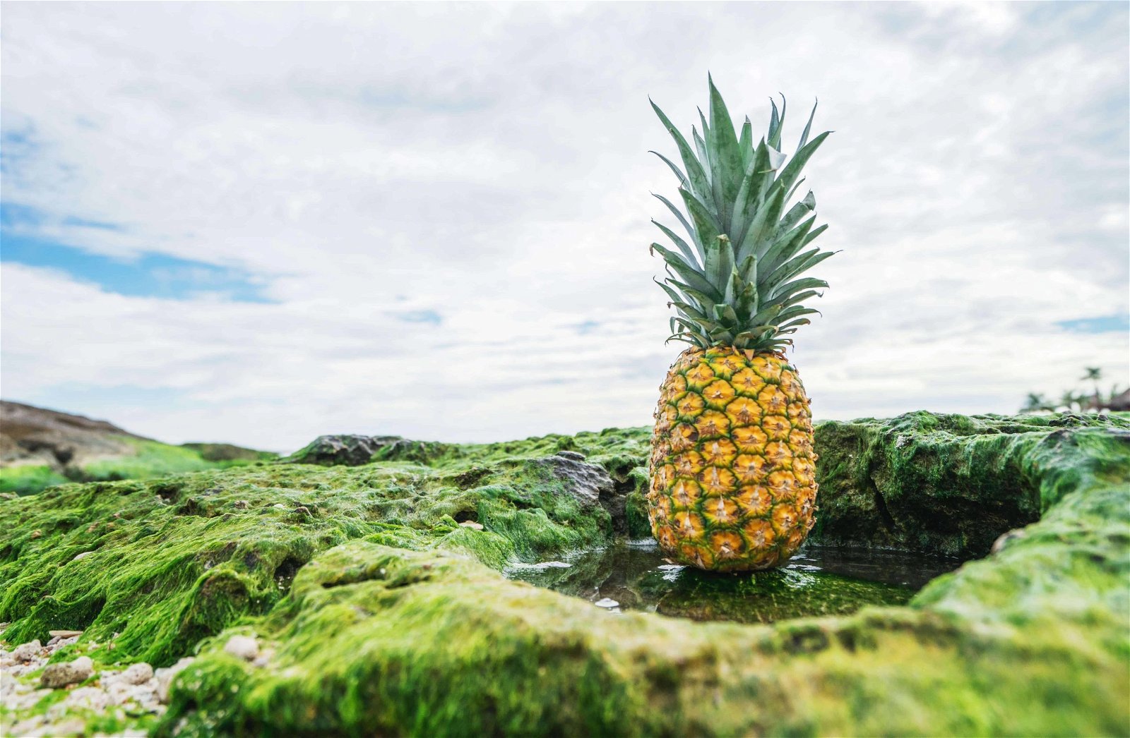 Natural light as seen in this image of a pineapple outside, is preferred by most food photographers