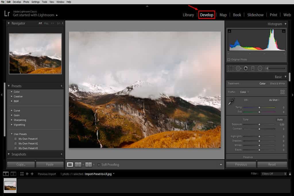 develop module in lightroom.
