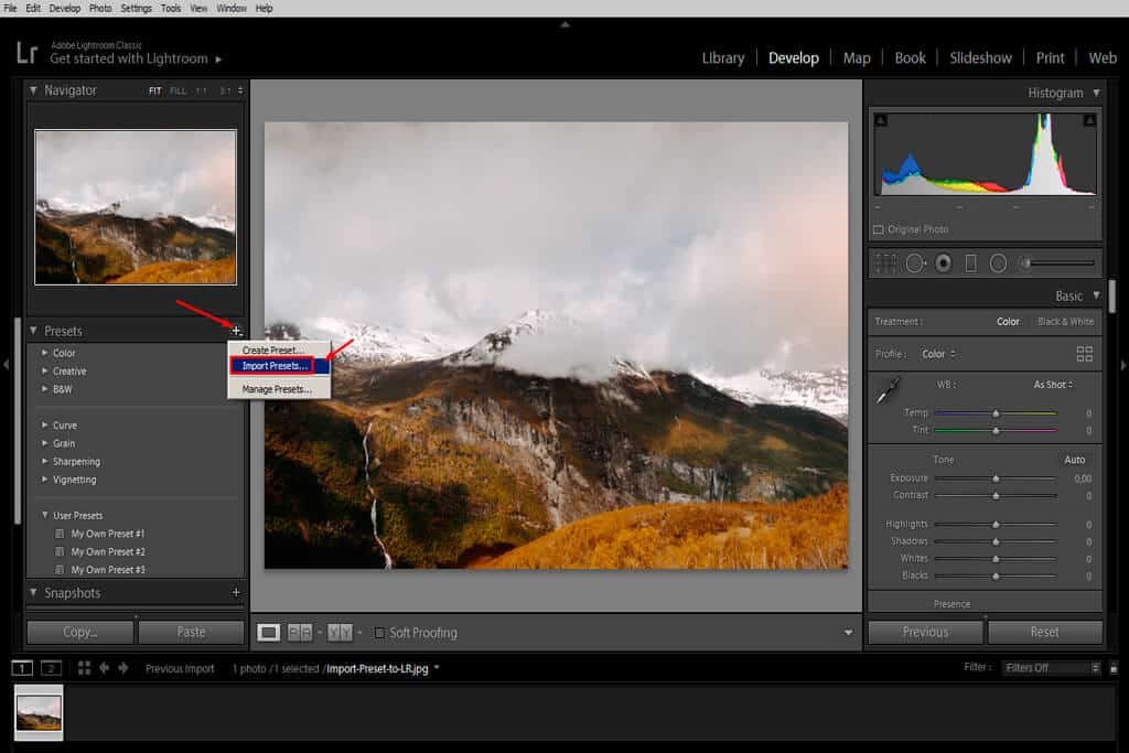 presets panel.
