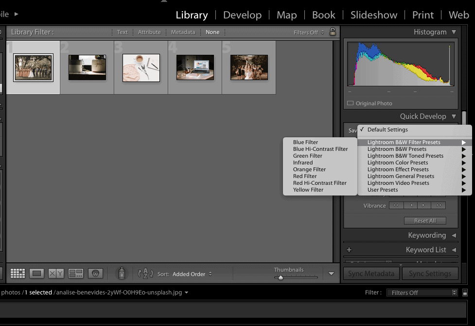 Using the preview pane to select the files on Adobe Lightroom