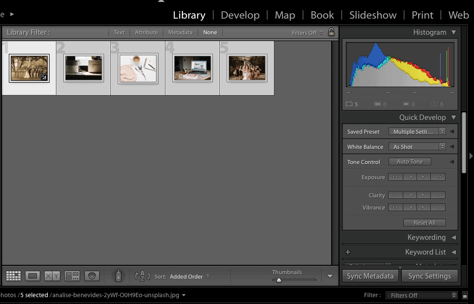 Step 2: Selecting a Preset to Edit Multiple Photos in Lightroom