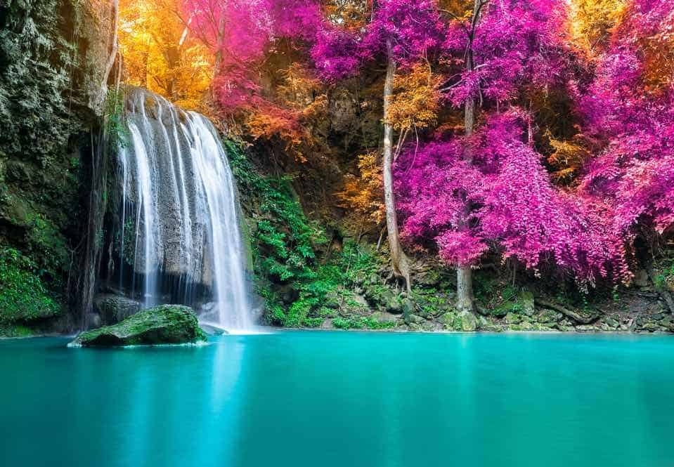 waterfall with colorful foliage.