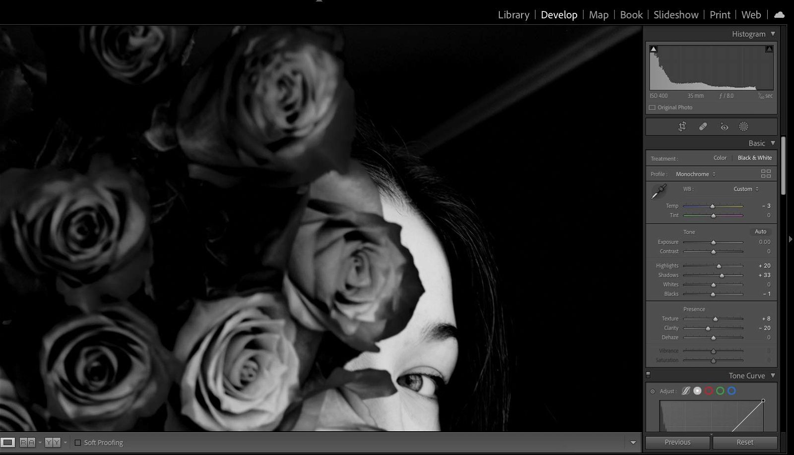 preview of B&W tools in Adobe Lightroom.