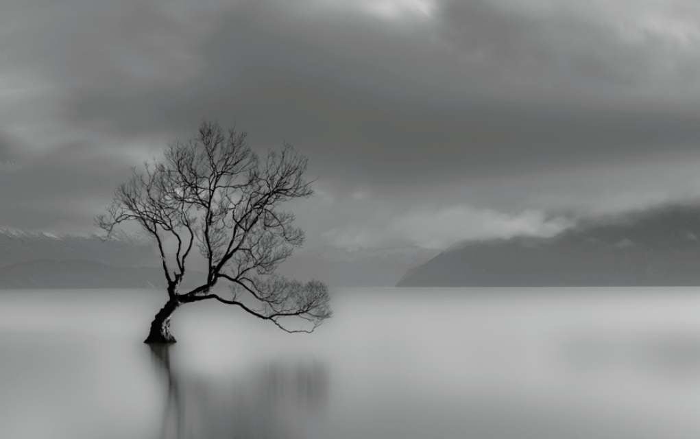 long exposure photo of a tree.