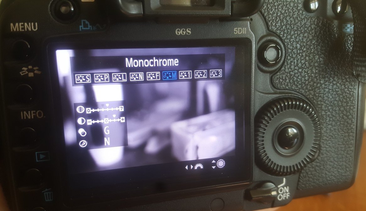 digital camera screen showing B&W mode.