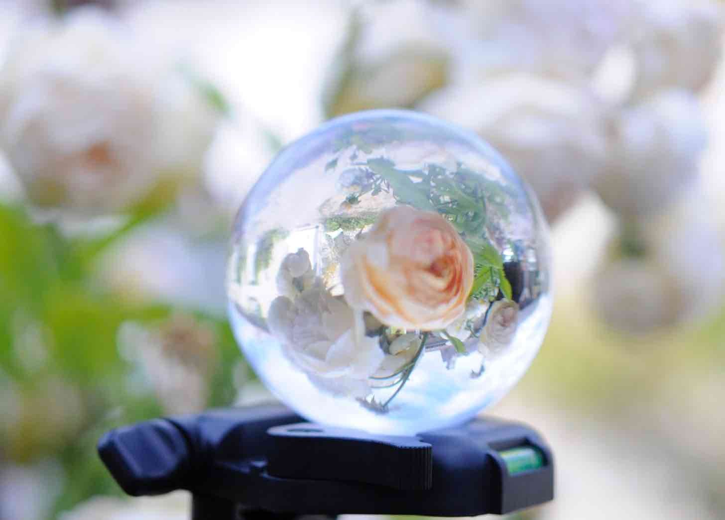 floral lensball photo.