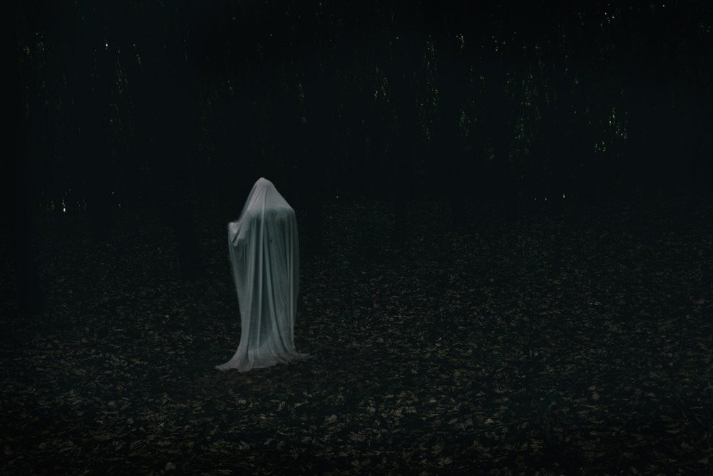 spooky image of a ghost in a dark forest.