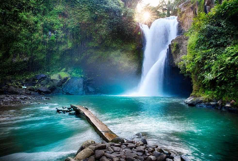 waterfall in a hidden tropical jungle.