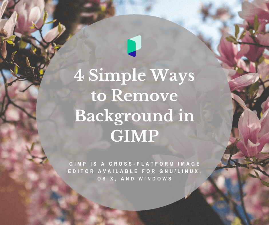 How to Remove Background in GIMP - Photography Course