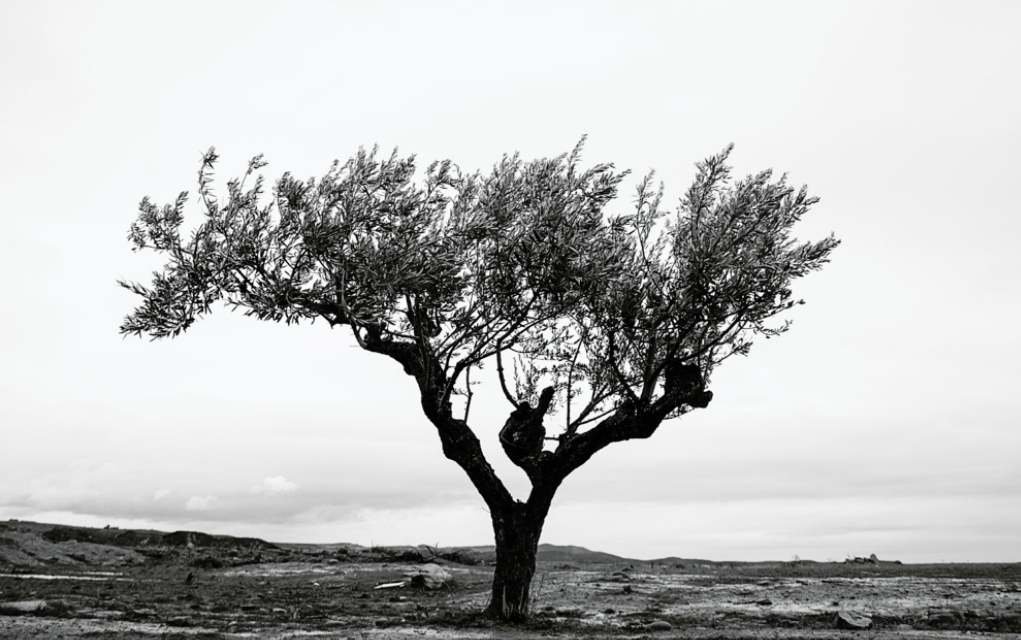 photo by Michael Kenna.