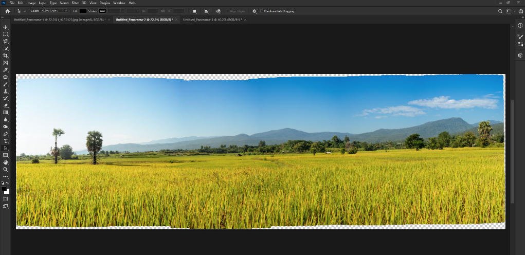 screen grab of panorama created in photoshop.