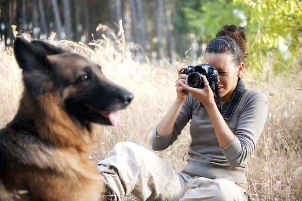 pet photography tips