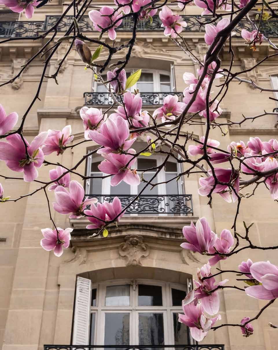 springtime in Paris by Landen