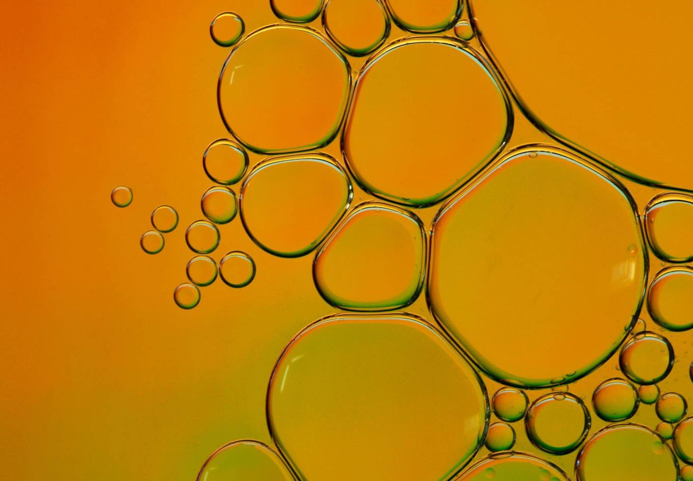 texture photography of bubbles