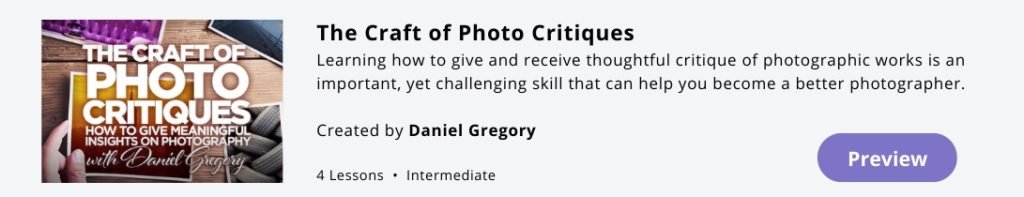 the craft of photo critiques course by Daniel Gregory.