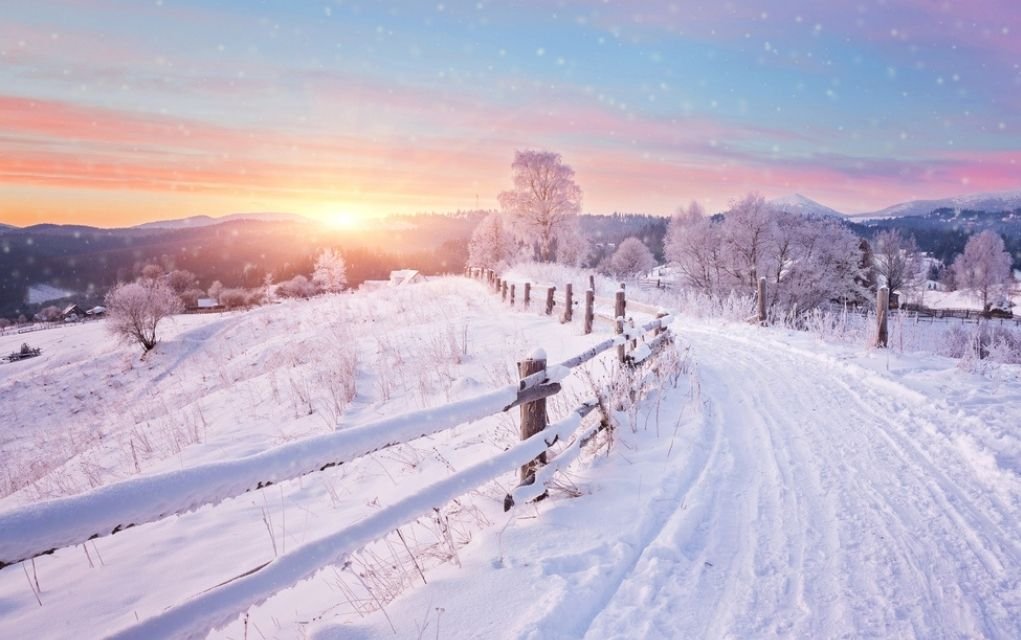 winter landscape.