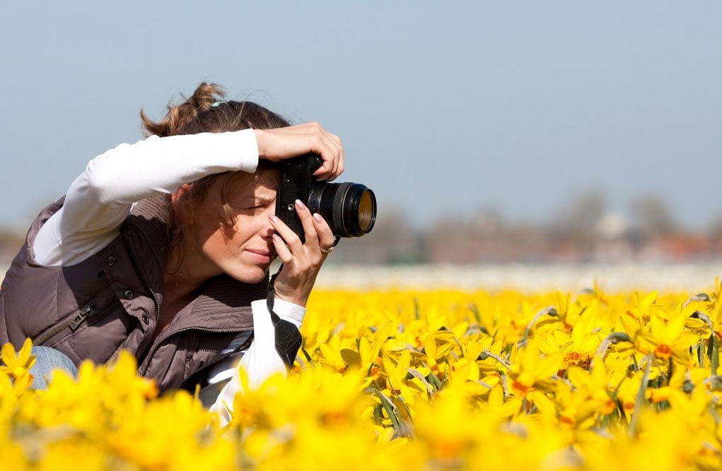 taking photos in a field of yellow flowers