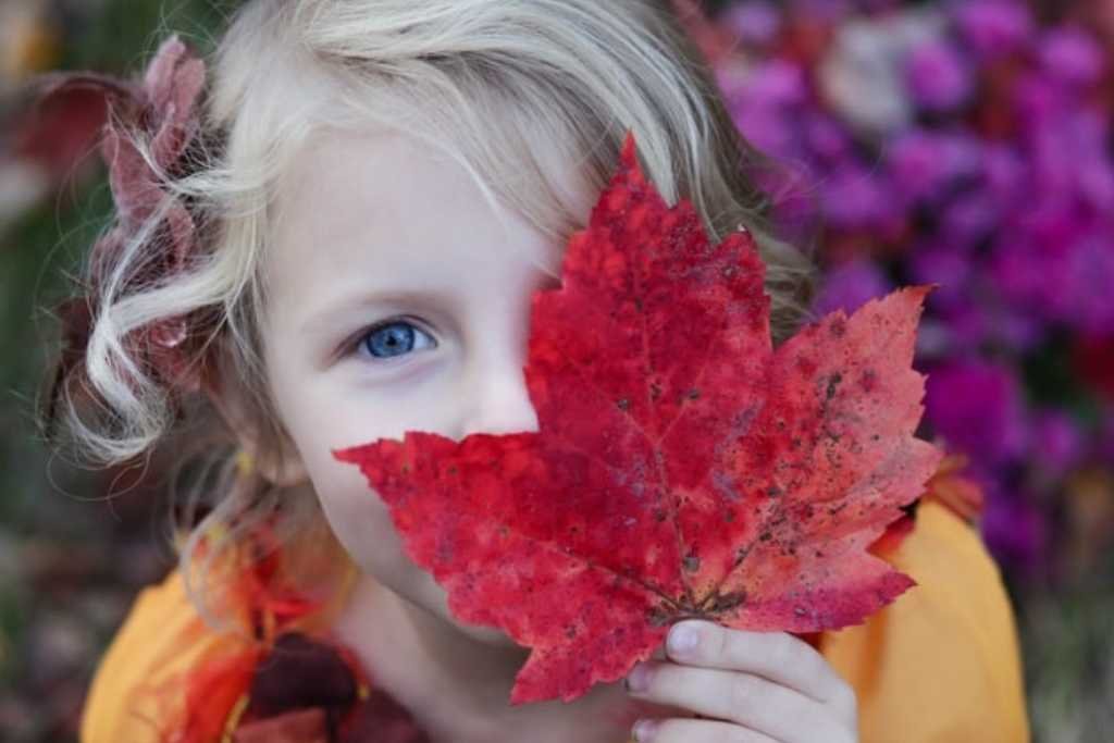 Closeup image of a child's face with a colorful leaf.