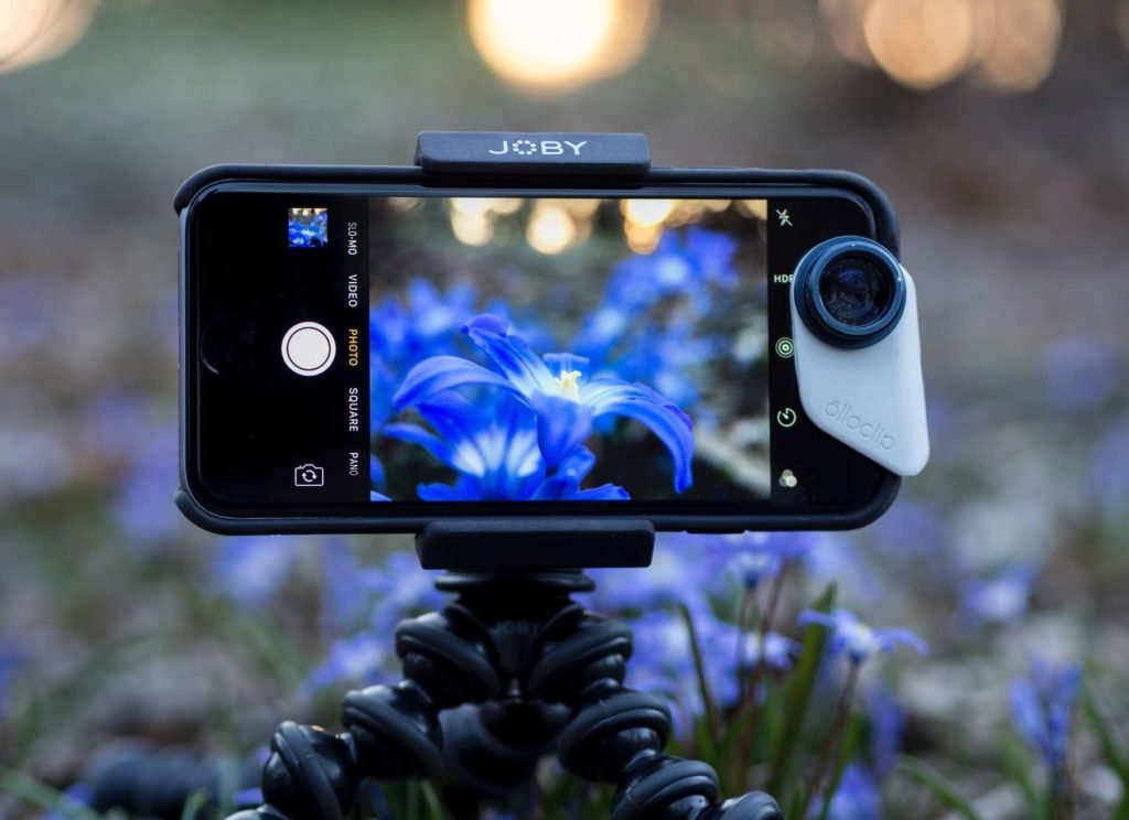 smartphone camera resting on a tripod and capturing a blue flower outdoors.