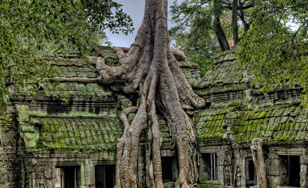 image for a temple.