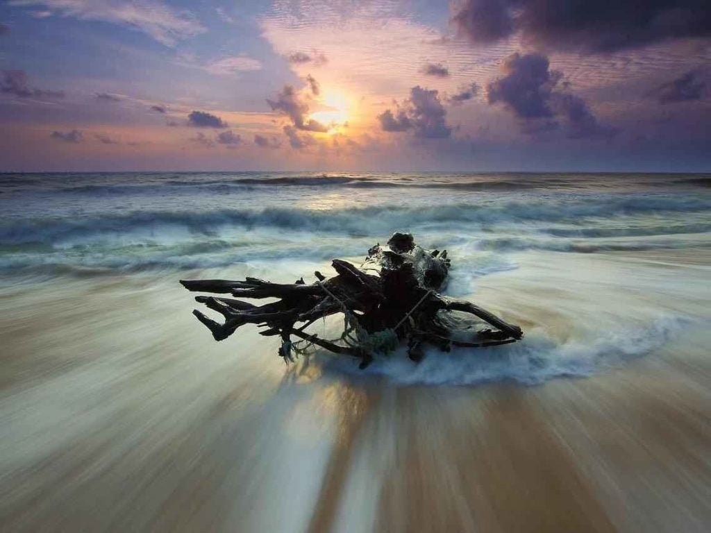 driftwood on beach motion blur.