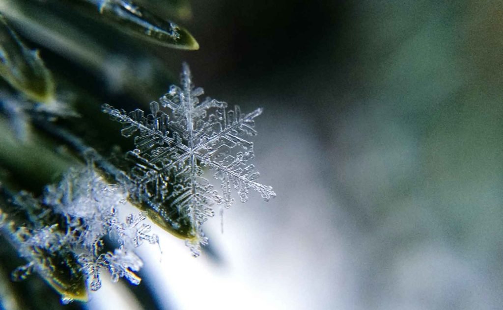 close up of snowflake.