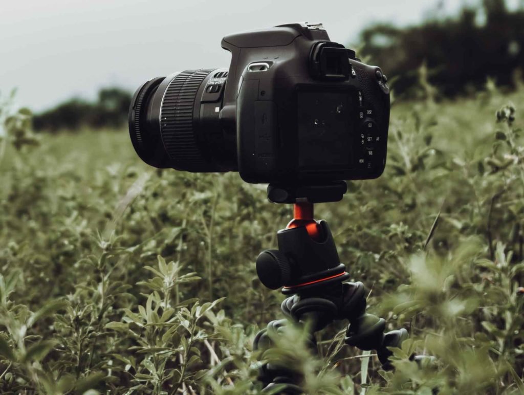macro camera on a tripod in a field.