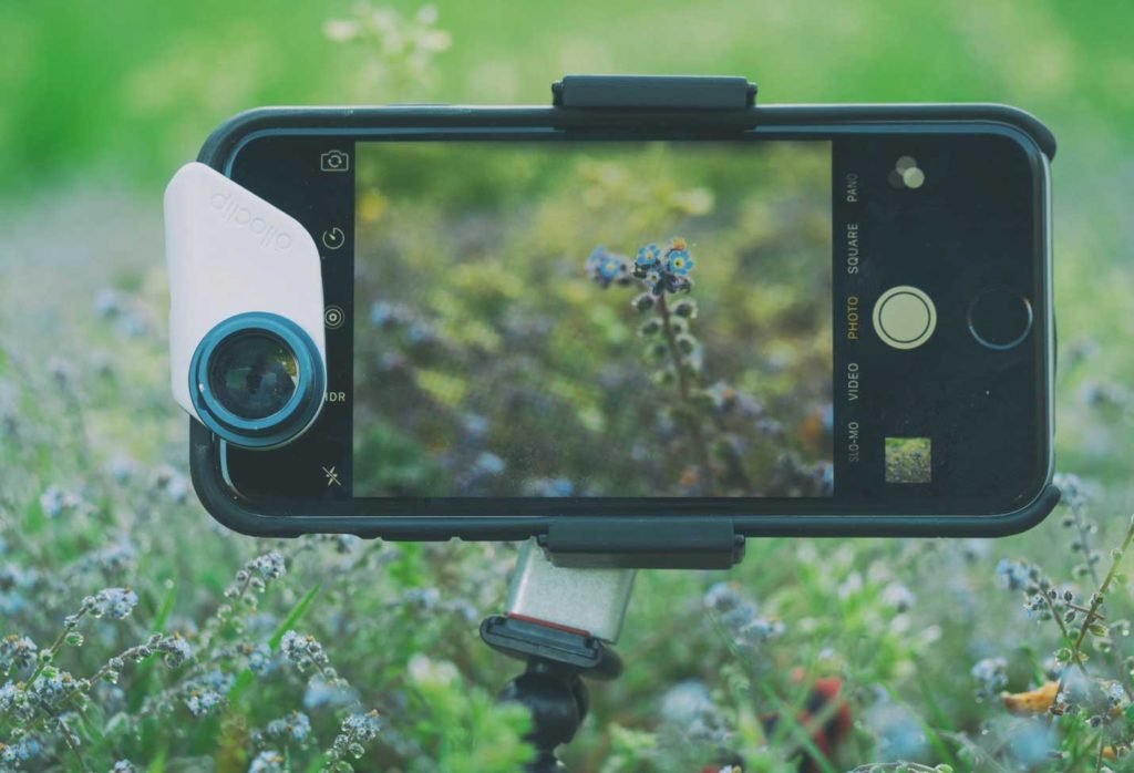 camera phone on a tripod in a field of flowers.