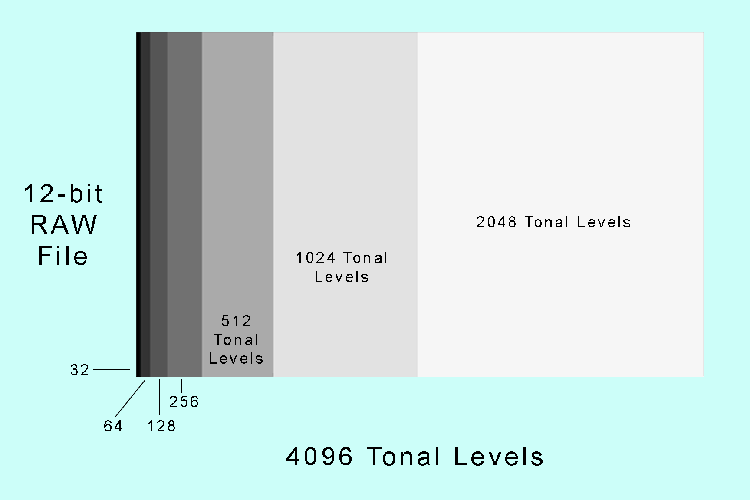 graph displaying tonal level distribution of 12-bit raw file.