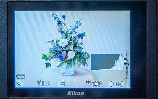 camera lcd screen showing image overexposed with blown highlights.